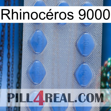 Rhinocéros 9000 21